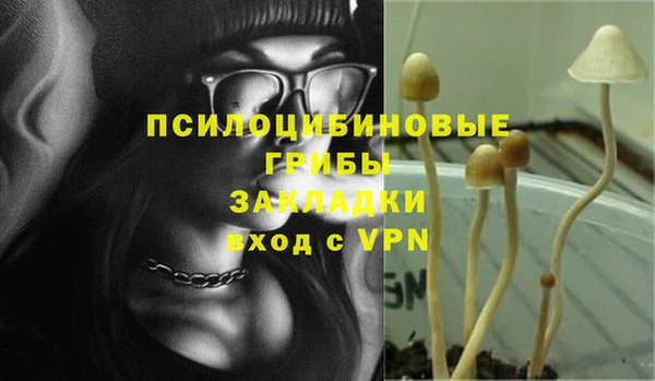 ПСИЛОЦИБИНОВЫЕ ГРИБЫ Липки